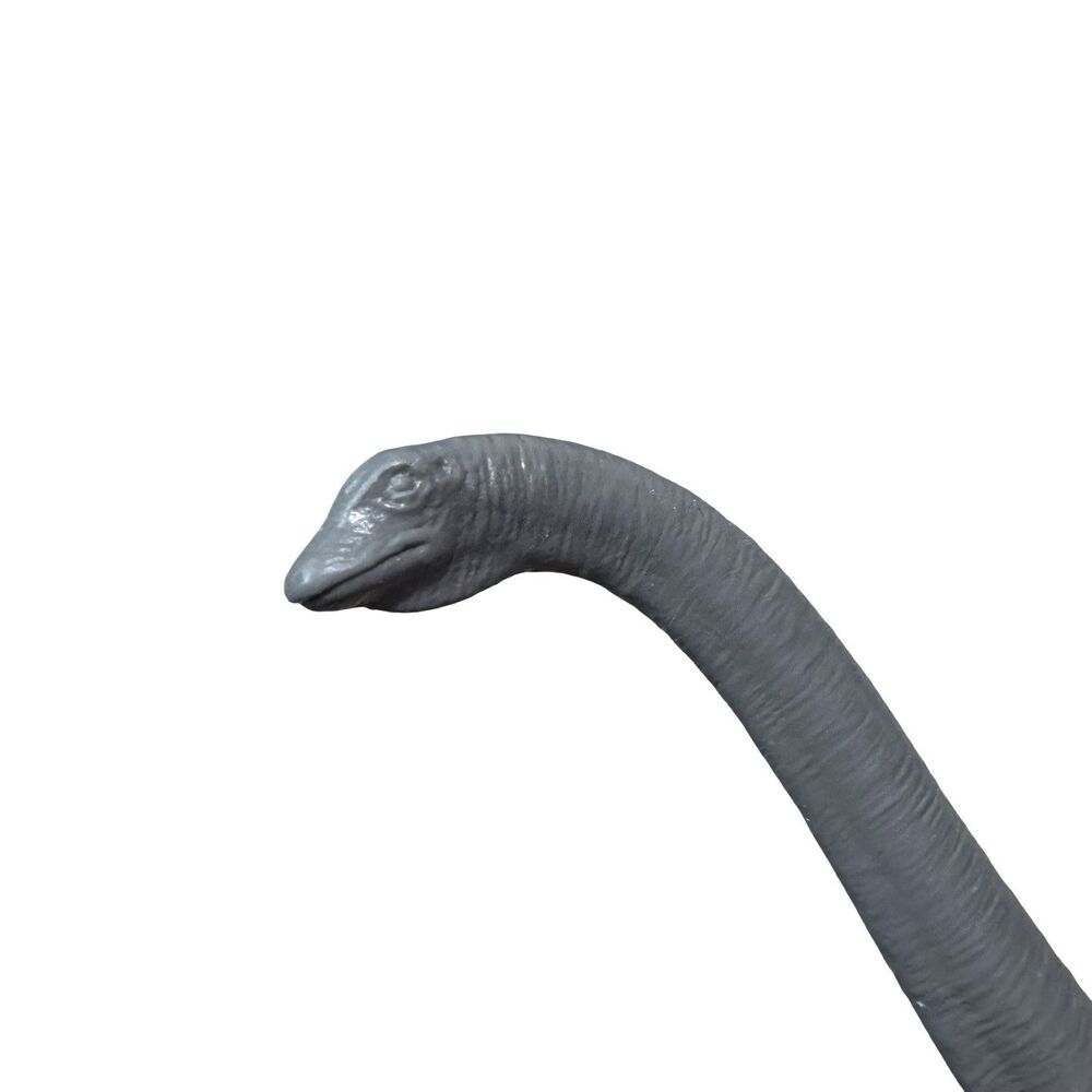Vintage Diplodocus - British Natural History Museum - 1974 - Picture 12 of 12